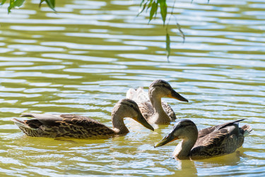 Similar image 18570794