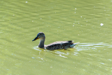 Similar image 18572382