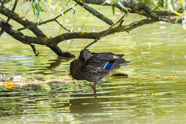 Similar image 18570847