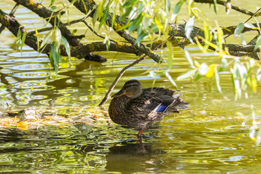 Similar image 18572437