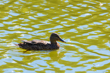 Similar image 18572662