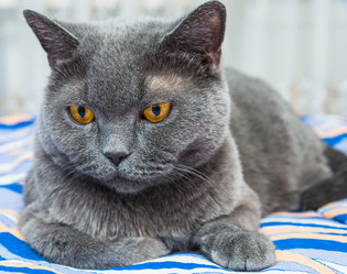 Similar image 18572690