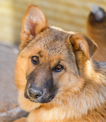 Similar image 18137030