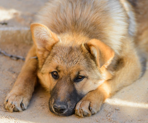 Similar image 18137033