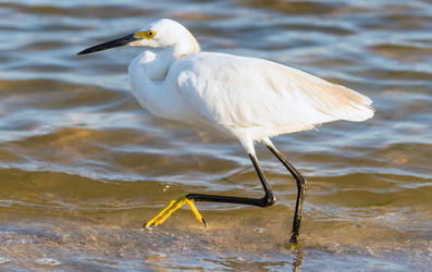 Similar image 18137034