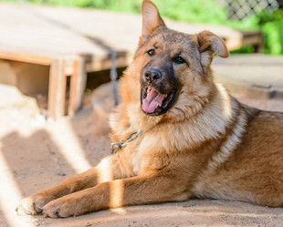 Similar image 18137129