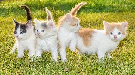 Similar image 18137132