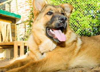 Similar image 18137230