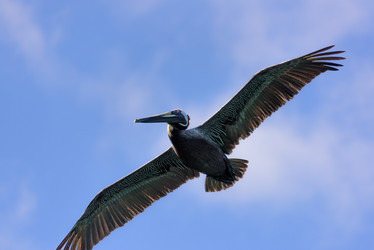 Similar image 18137210