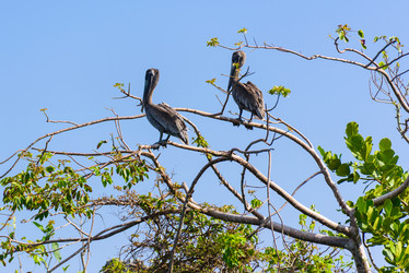 Similar image 18137205