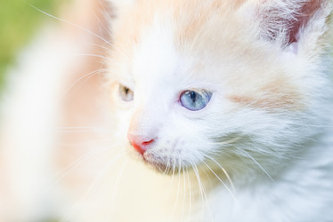 Similar image 18137207