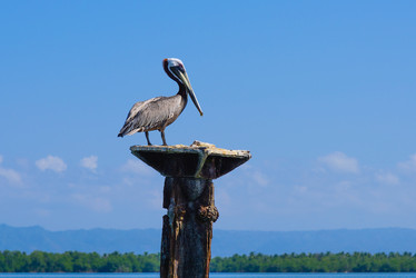 Similar image 18137215