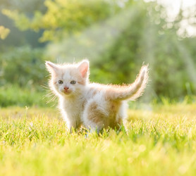 Similar image 18137265