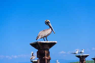 Similar image 18137268