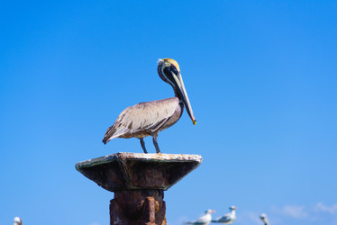 Similar image 18137274