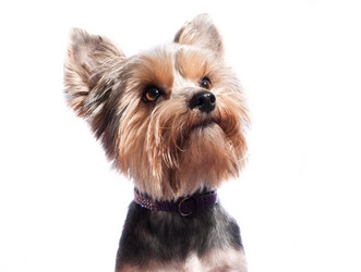 Similar image 18137277