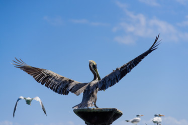 Similar image 18137282