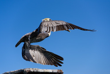 Similar image 18137285