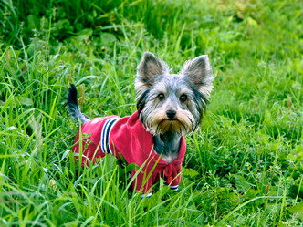 Similar image 18137286