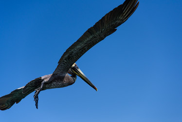 Similar image 18137340