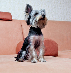 Similar image 18137341