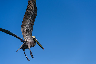 Similar image 18137344