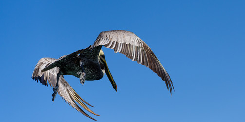 Similar image 18137350