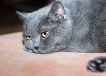 Similar image 18137347