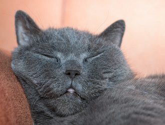 Similar image 18137354