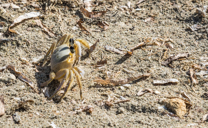 Similar image 18137363