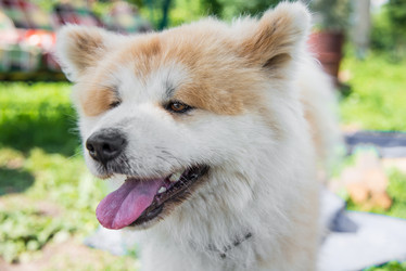 Similar image 18137370