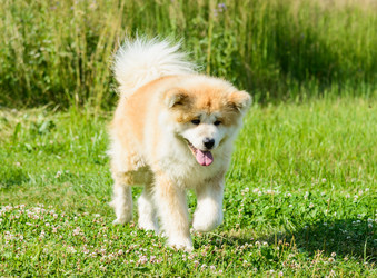 Similar image 18137464