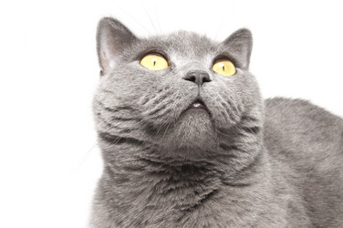 Similar image 18137441