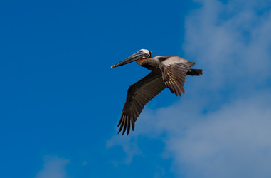 Similar image 18137460