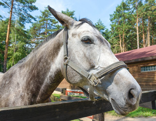 Similar image 18137467