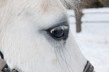 Similar image 18137468