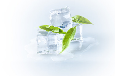 Similar image 18508474