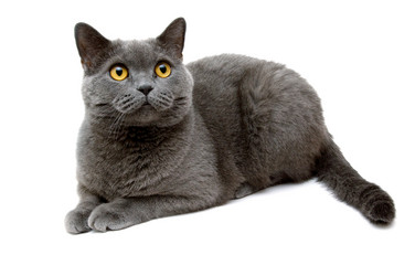 Similar image 18137547