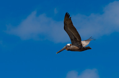 Similar image 18137535