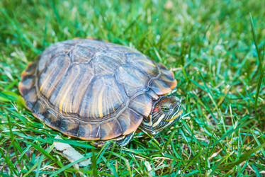 Similar image 18137589