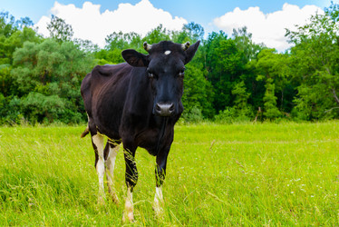 Similar image 18137594