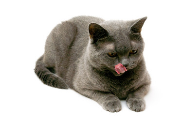 Similar image 18137633