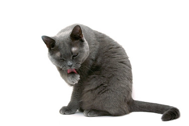 Similar image 18137635