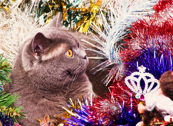 Similar image 18137678