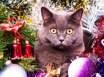 Similar image 18137634