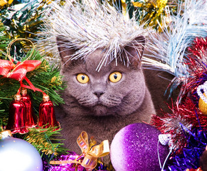 Similar image 18137646