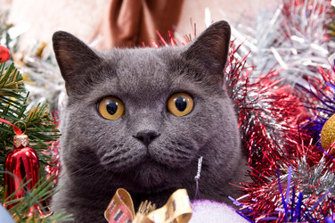 Similar image 18137661