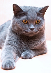 Similar image 18137667