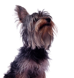 Similar image 18137735