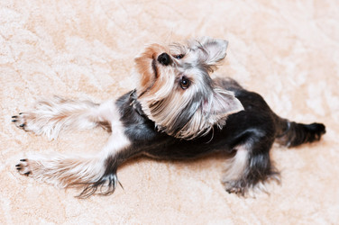 Similar image 18137740